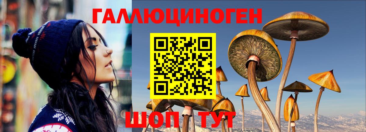 Галлюциногенные грибы MAGIC MUSHROOMS  Вход с VPN  Курган  Галлюциногенные грибы Magic Shrooms 